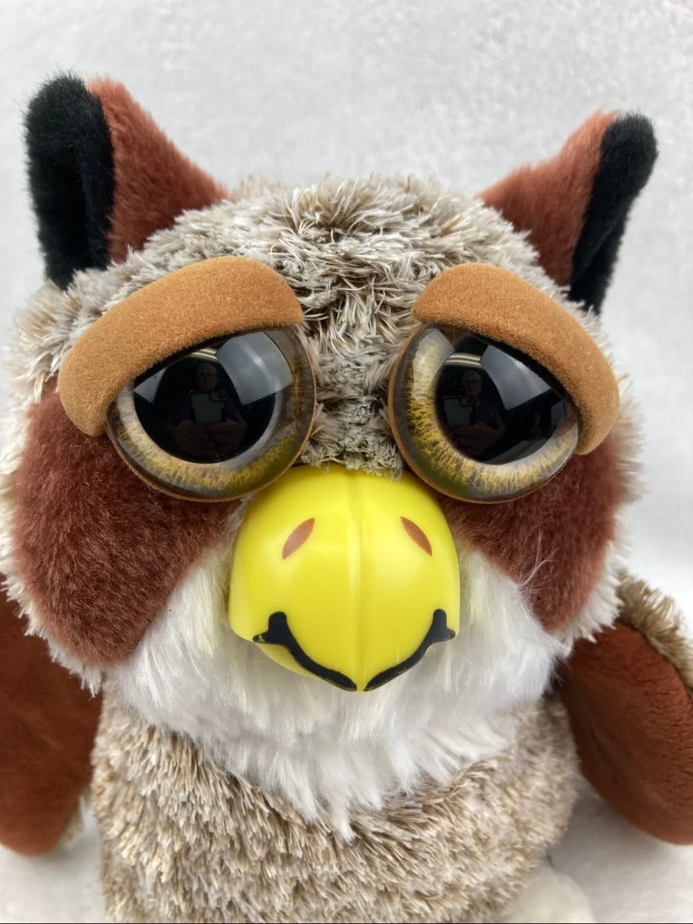 FEISTY PETS DASTARDLY DANIEL™️ THE GREAT HORNED OWL
